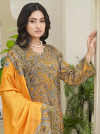 Bin Seed 3Pc Stitched Suit
