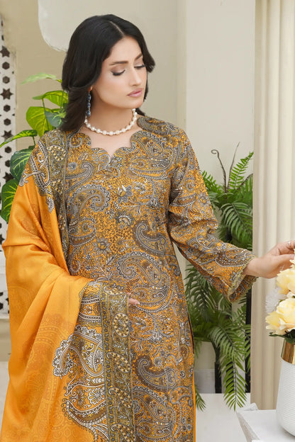 Bin Seed 3Pc ready to wear suit 2026