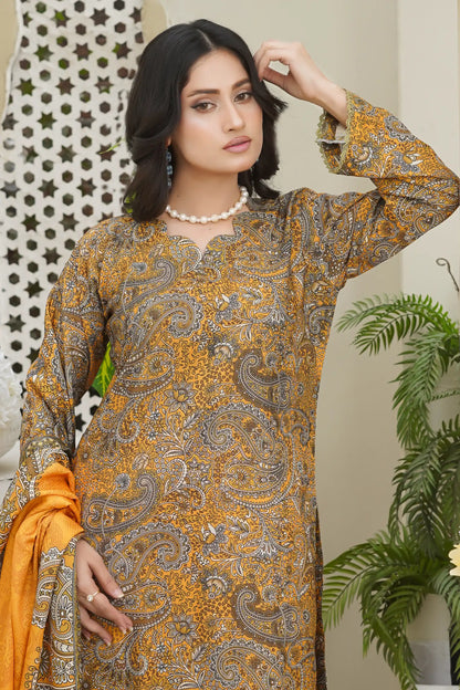 Bin Seed 3Pc Stitched Suit winter collection 2026